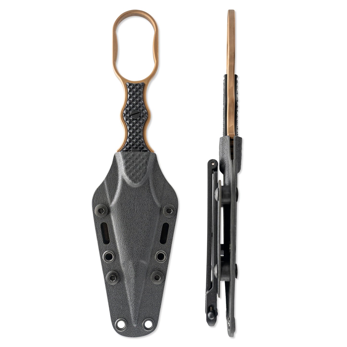 Professional Guardian - FDE