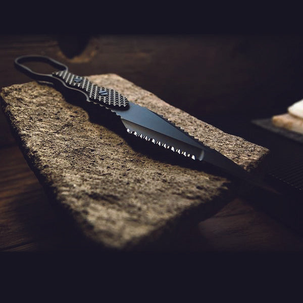 Professional Guardian - FDE