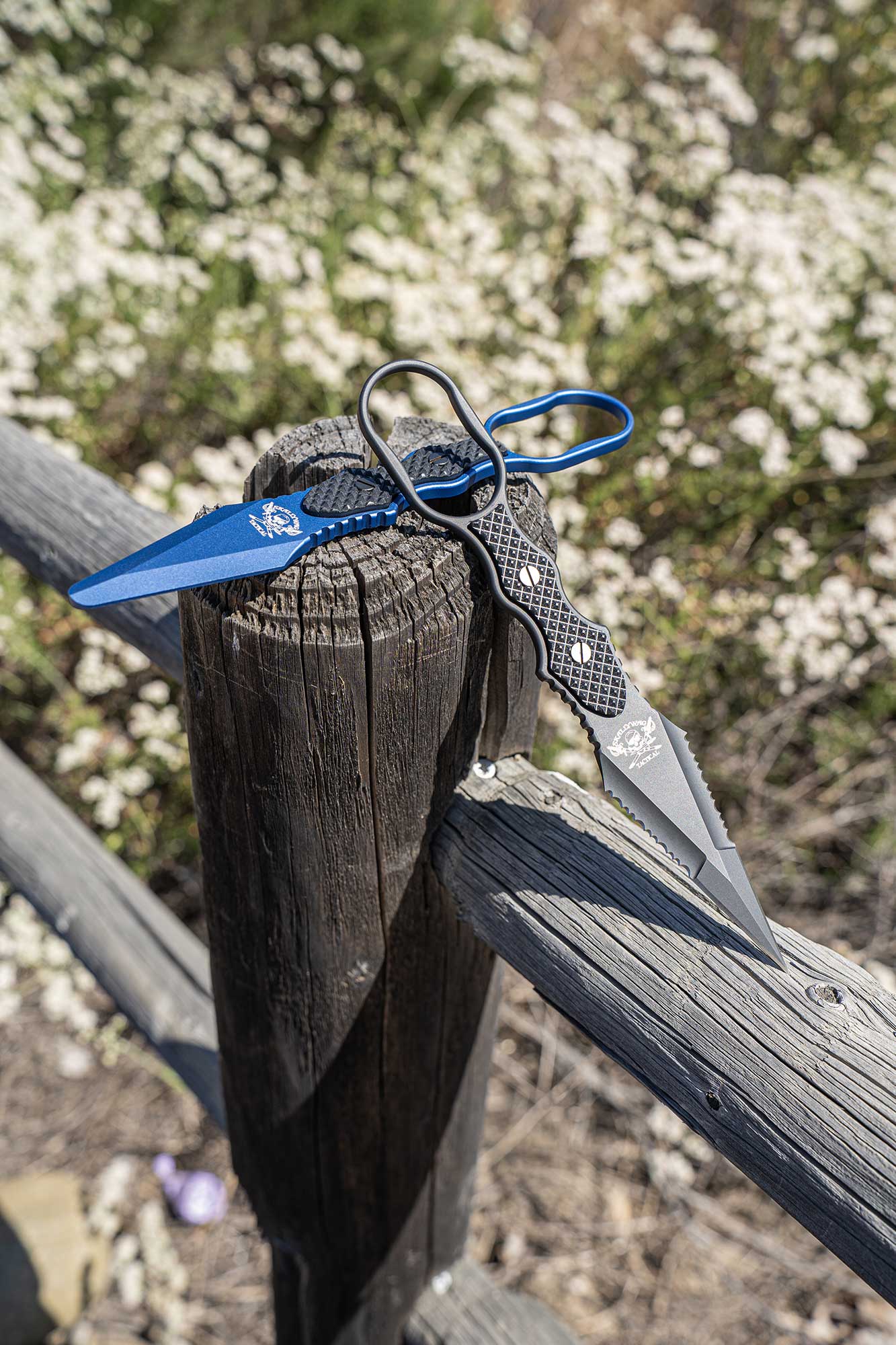 Professional Guardian Kit